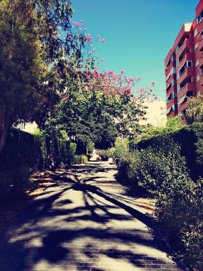 Casablanca Mediterranean ベニドルム エクステリア 写真