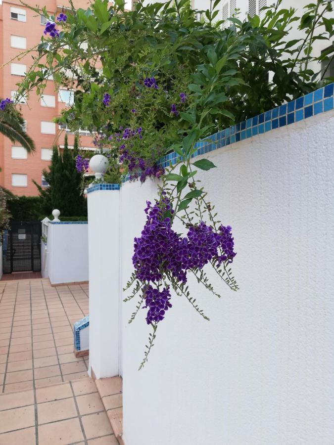 Casablanca Mediterranean ベニドルム エクステリア 写真
